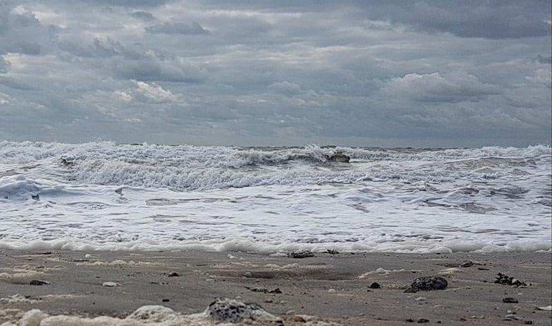 Harde wind en buien..., strand Maasvlakte in prachtkleed!