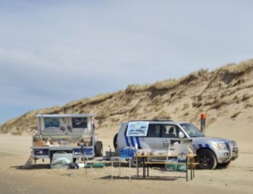 Een geslaagde strandexpeditie, afgelopen zaterdag.