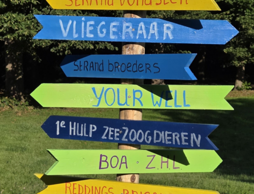 Deelnemers aan “Dag van het Strand op 5 juli