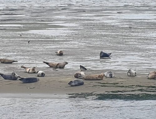 Laatste expeditie van het jaar weer een groot succes!